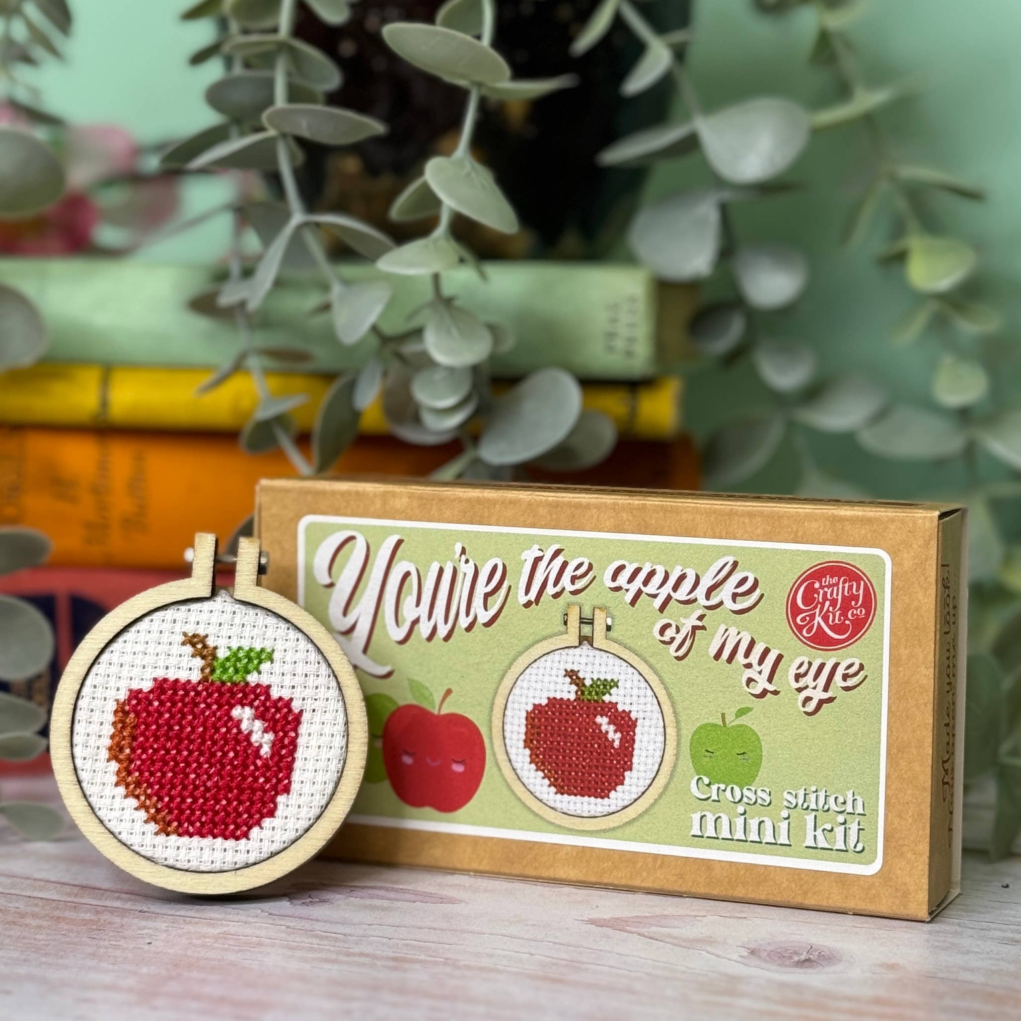 The Crafty Kit Company 'You're The Apple Of My Eye' Mini Matchbox Cross Stitch Kit