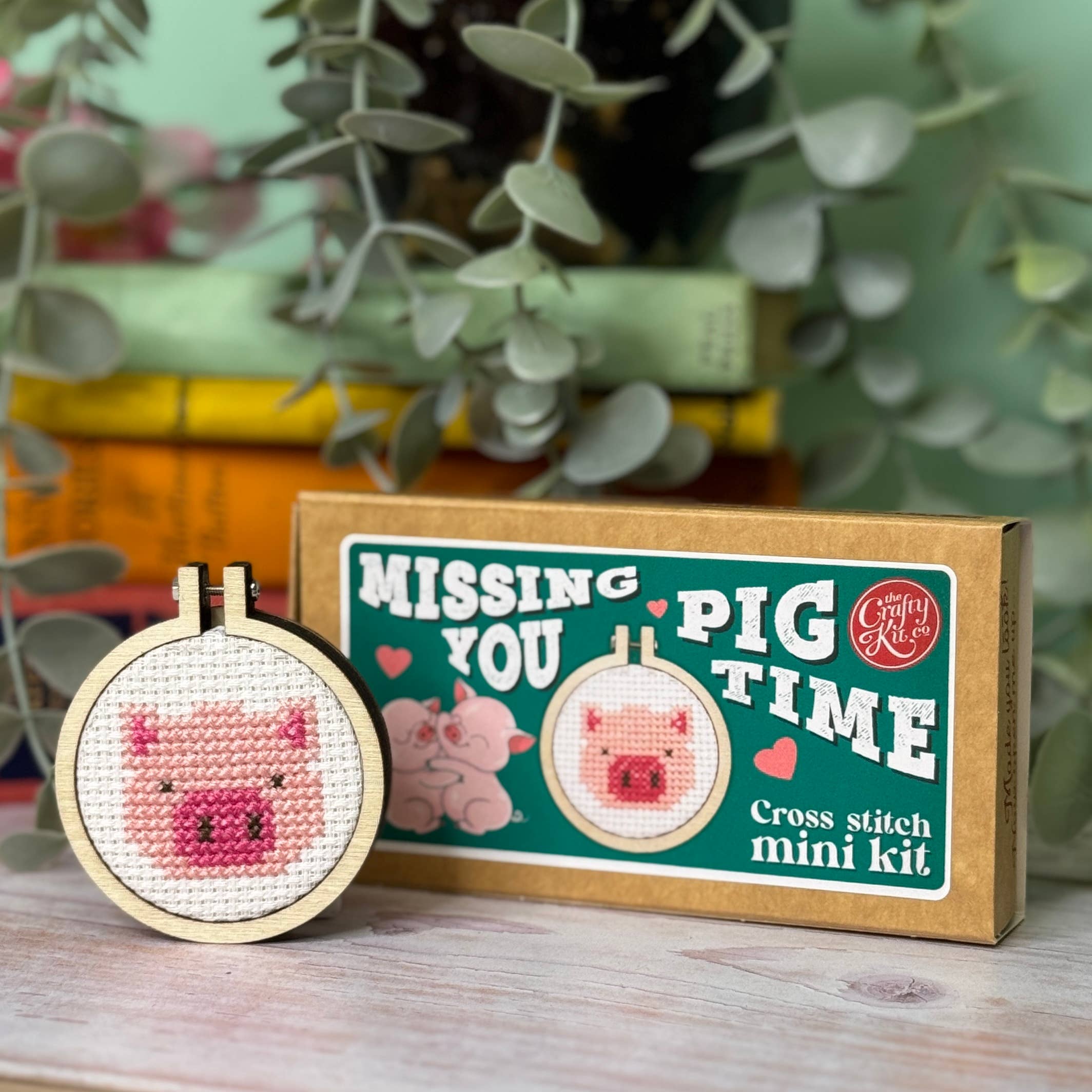 The Crafty Kit Company 'Missing You Pig Time' Mini Matchbox Cross Stitch Kit