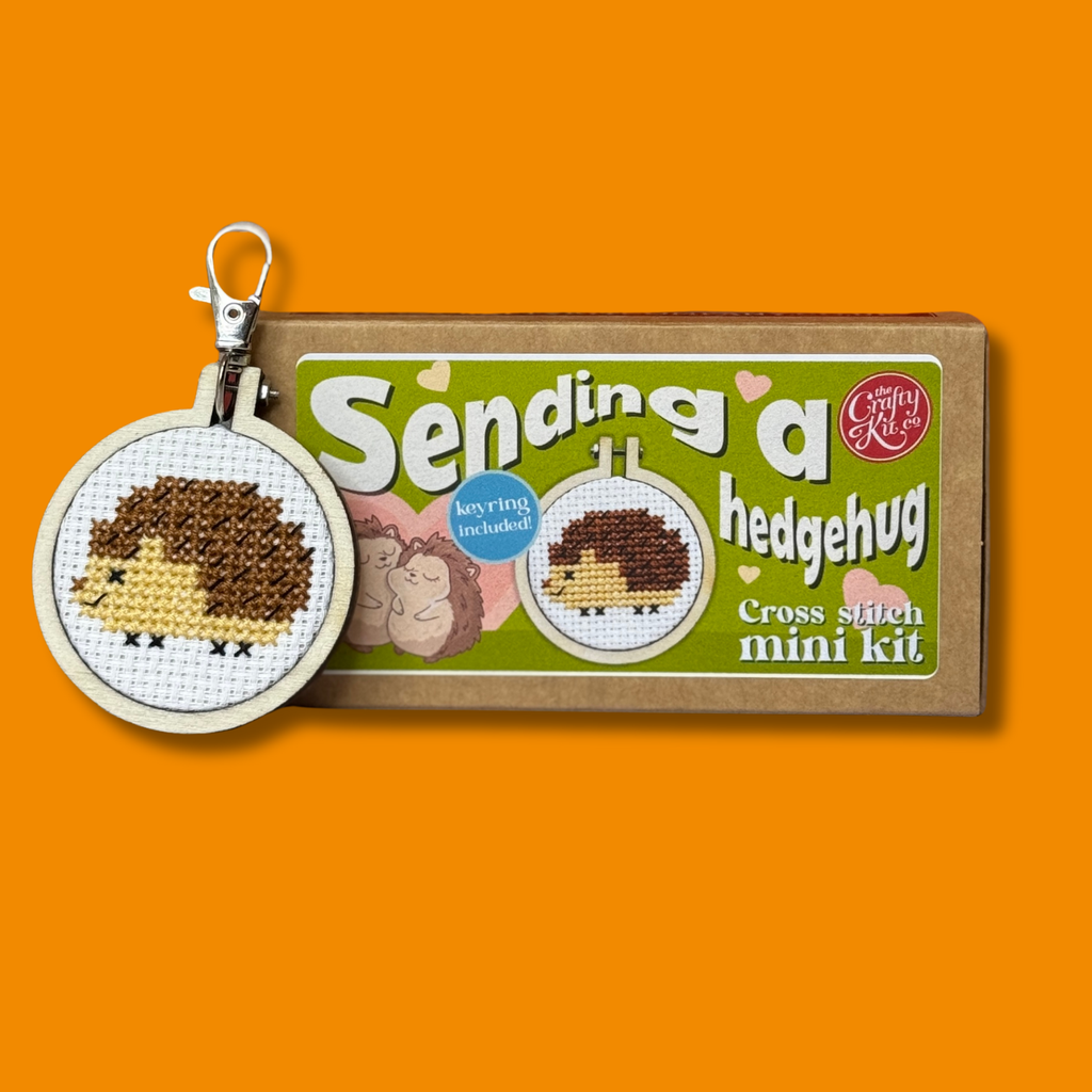 The Crafty Kit Company 'Sending a hedgehug' Mini Matchbox Cross Stitch Kit